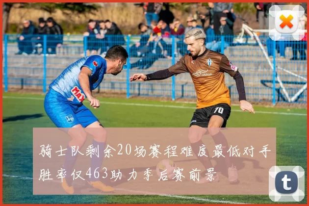 骑士队剩余20场赛程难度最低对手胜率仅463助力季后赛前景